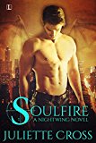 Soulfire (Nightwing) by Juliette Cross