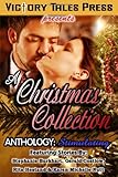 Click here to read the review of A Christmas Collection Anthology: Stimulating by Karen Michelle Nutt, Stephanie Burkhart, Gerald Costlow, and Rita Hestand