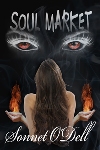 Click this image now to buy your copy of Soul Market