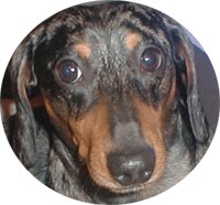 Mochie